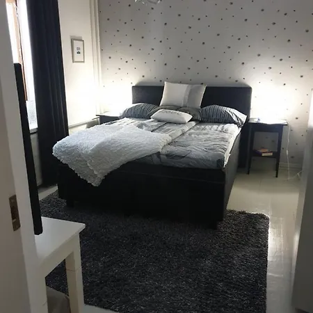 Apartmán City
