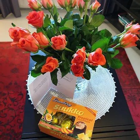 Porvoo City Apartments * Porvoo